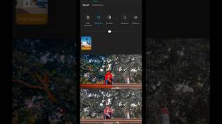 Colour Grading ✔️ #iphoneography #colour_stars #capcuttutorial #cinematicshort #capcutapp