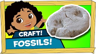 Kid Crafts: Fossils - Darwin and Newts