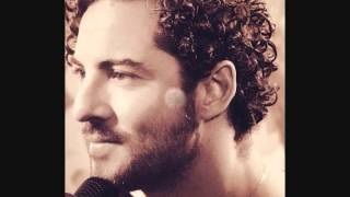 DAVID BISBAL CULPABLE chords