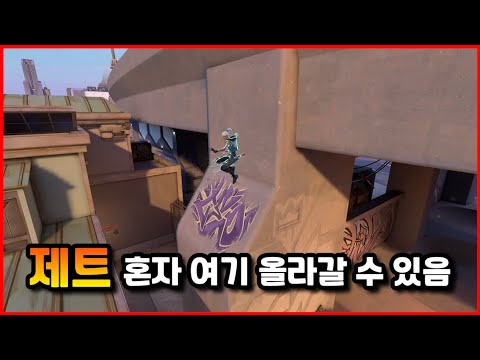 제트 혼자 여기 올라갈 수 있음
