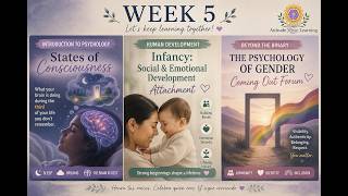 Details 🌈 Week 5: Coming Out Forum / Beyond the Binary Workshop — Module 5 Walkthrough Update