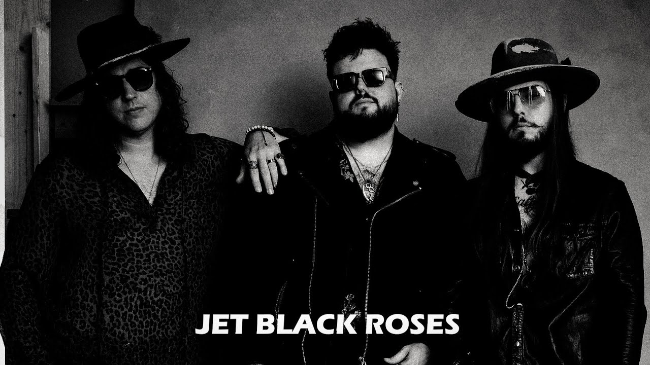 Jet Black Roses - 