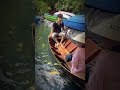 Giác lường nhôm ghe cây 3m5 #thuyền #onggiauyacht #xuồng_composite #mientay #ghecay #bala