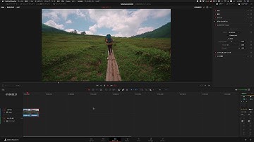 DaVinci Resolve講座 第5回 基礎知識編「エディット」ページ編2：インスペクタパネル「スタビライゼーション」
