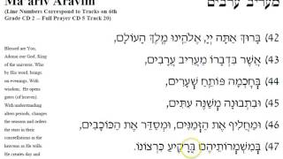 Maariv Aravim
