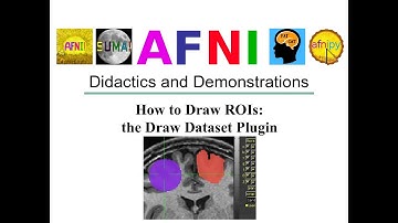[AFNI Academy] How to draw ROIs: the Draw Dataset Plugin