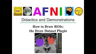 [AFNI Academy] How to draw ROIs: the Draw Dataset Plugin
