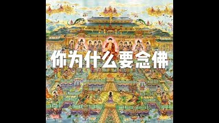 201501 你为什么要念佛21300