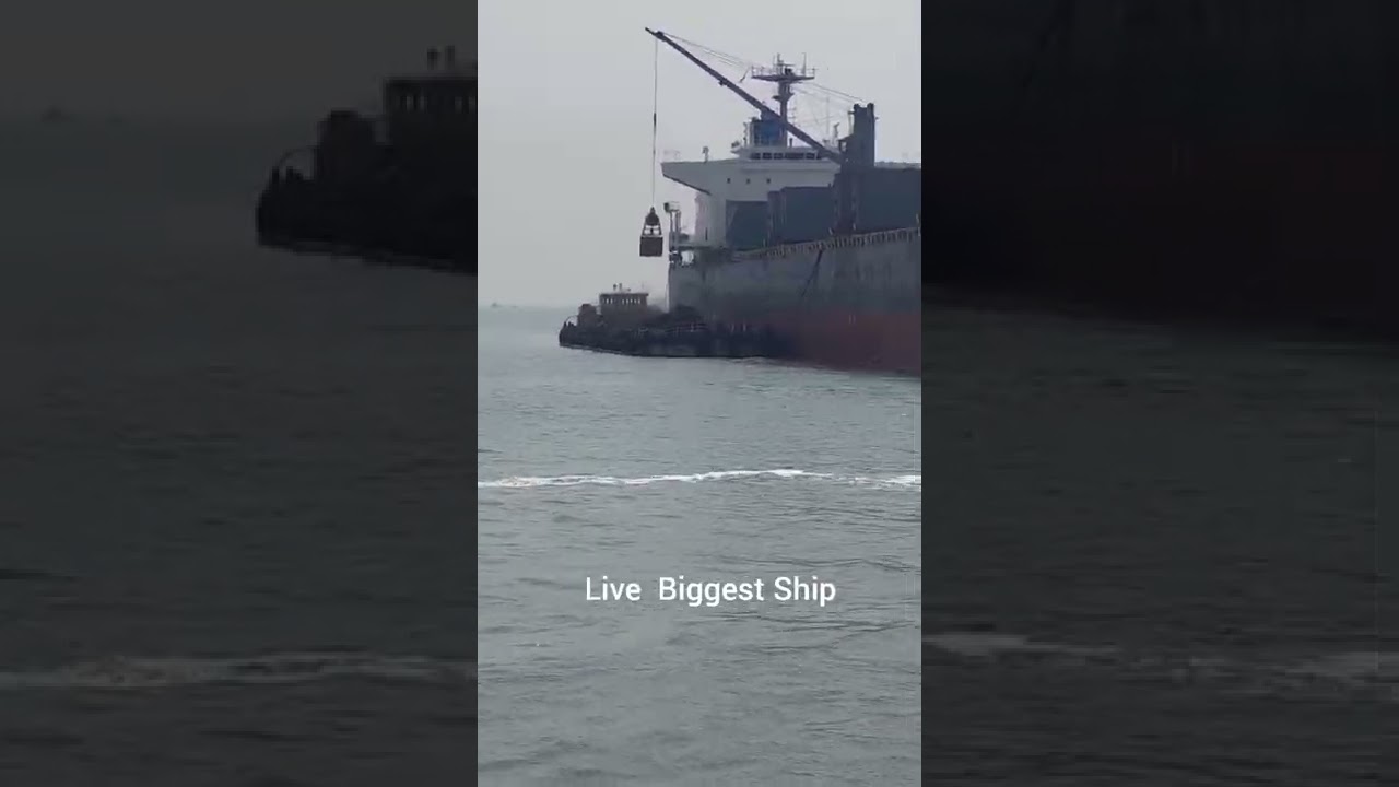 Live Import of Coal | Biggest Vessel in Sea Port | Live Practical Training by Harsh Dhawan 