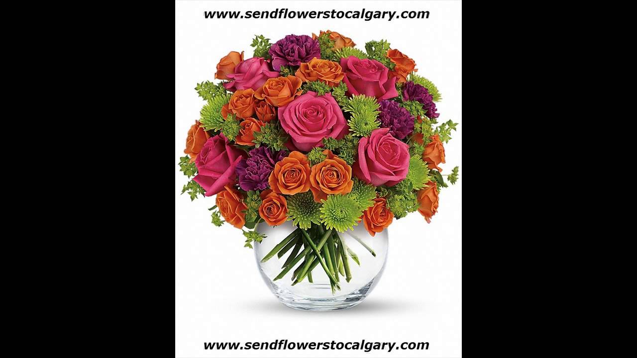 canada national flower and animal youtube