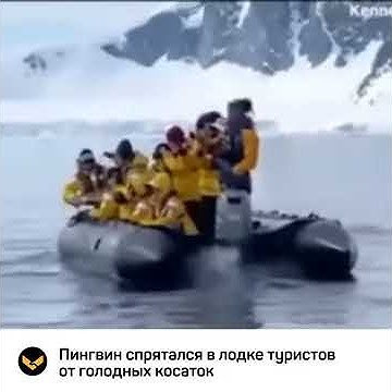 youtube.com