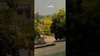 My beautiful village #myvillage #villagevlog #shorts #youtubeshorts #shortvideo #explore #challenges
