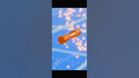 Two bullets colliding (explained)#3danimationfact#facts