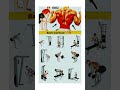 Back workout exercises #shortvideo #gymworkout #gymshorts #youtubeshorts #gymfitnessworkout
