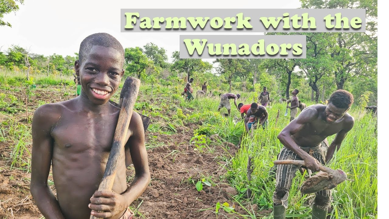 Farmwork With the Wunadors