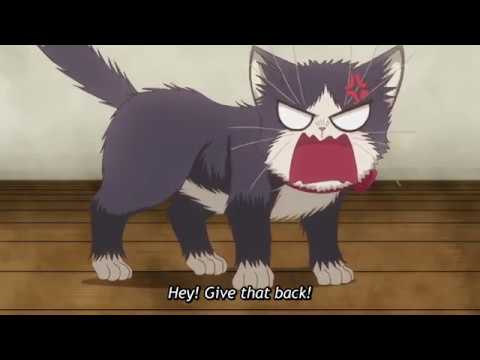 My Roommate is a Cat Episode 8 English Sub - YouTube