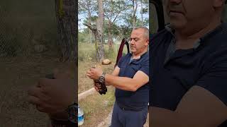 🇹🇷 пробует РУССКИЙ НАЦИОНАЛЬНЫЙ НАПИТОК  #shorts