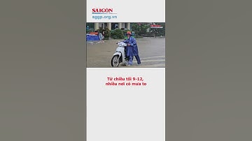 Từ chiều tối 9-12, nhiều nơi có mưa to