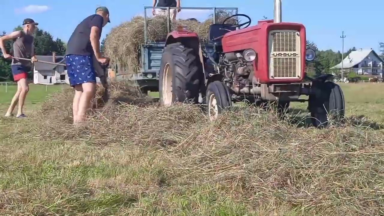 Zwożenie siana luzem | 2022 | Agro Gorzład™