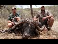 Hunt in africa buffalo hunt