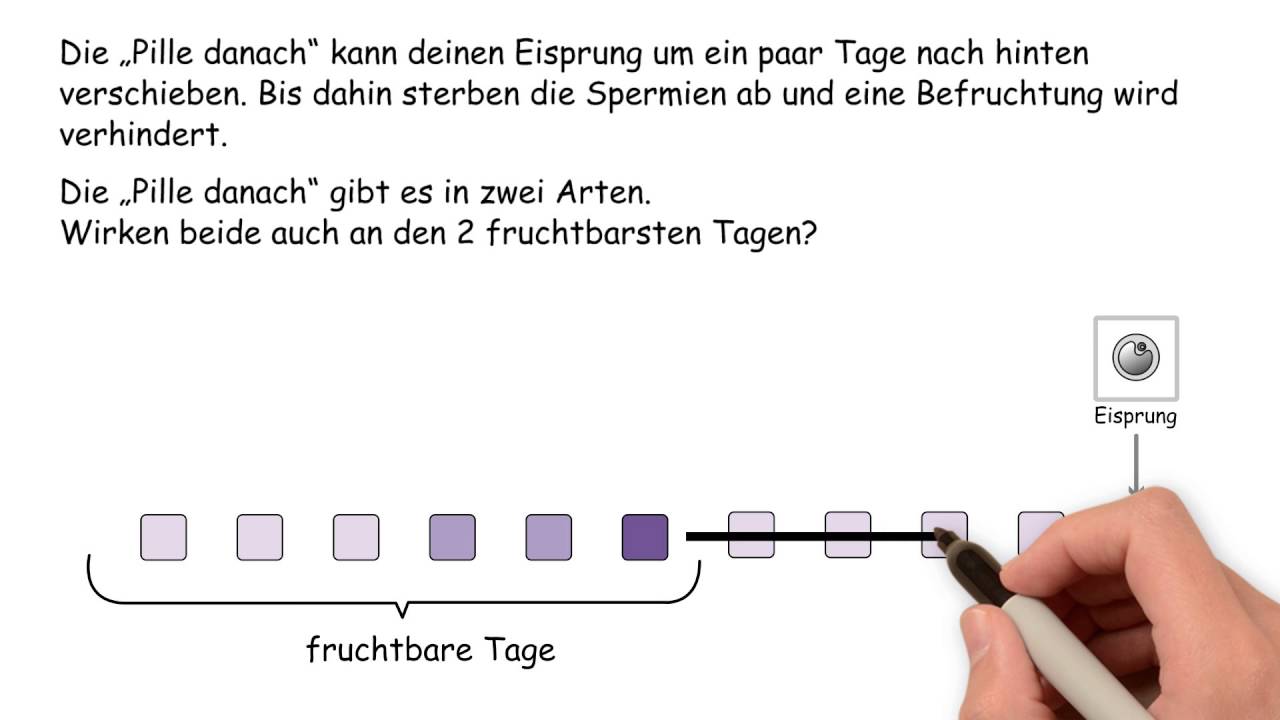 Die Pille Danach Youtube