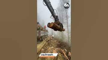 Timber (Log) Grapple | Galen Group  #excavator #attachment