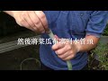 水星人做實驗 用舊菜瓜布清理水管青苔 水星人做實驗 用舊菜瓜布清理水管青苔