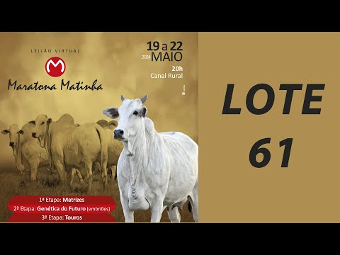 LOTE 61