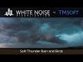 Soft Thunder Rain and Birds - 1 Hour  Relaxing Sleep Sound with Dark Screensaver