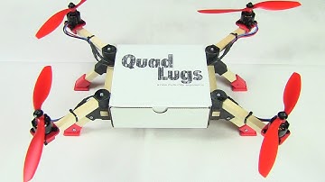 QuadLugs - Box Quad (AMA) STEM Kit - Qbrain 4in1 esc Install