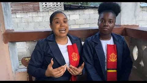 Learning and Cognition Video Blog