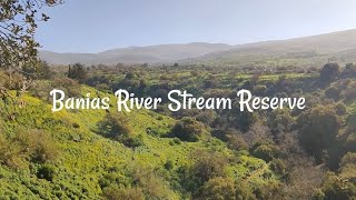 Banias river stream reserve VLOG