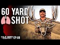 Public Land Archery Mule Deer - 2 BUCKS DOWN! | MDC EP08
