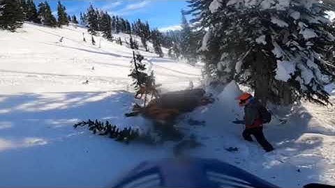 Guy On Snow Mobile Crashes Into Tree - 1164953