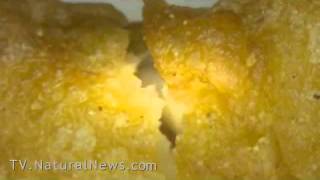 New! Chicken McNuggets contain strange fibers - microscopic forensic investigation by the Health Ran