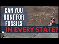 Can You Hunt For Fossils in Every State?