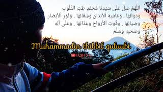 STORY WA - Tibbil Qulub 🎶