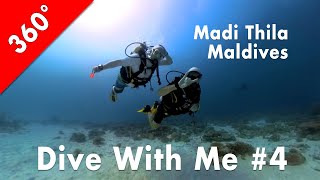 [360°] Dive With Me #4: Madi Thila, Maldives (2024-01-16)