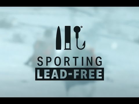 Sporting Lead-Free Overview