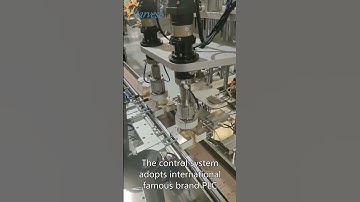 Máy đóng nắp chai tự động hai đầu servo