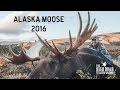 Alaska Moose 2016 Part 1