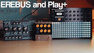 Dreadbox Erebus Polyend Play+