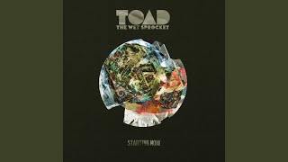 Video thumbnail of "Toad The Wet Sprocket - Starting Now"