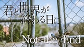 安田レイ Not The End 弾き語りしてみた 日本テレビ Hulu共同製作ドラマ 君と世界が終わる日に 挿入歌 Covered By Rion 歌詞付き Youtube
