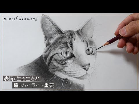 アート作品 鉛筆の猫 Www Vetrepro Fr