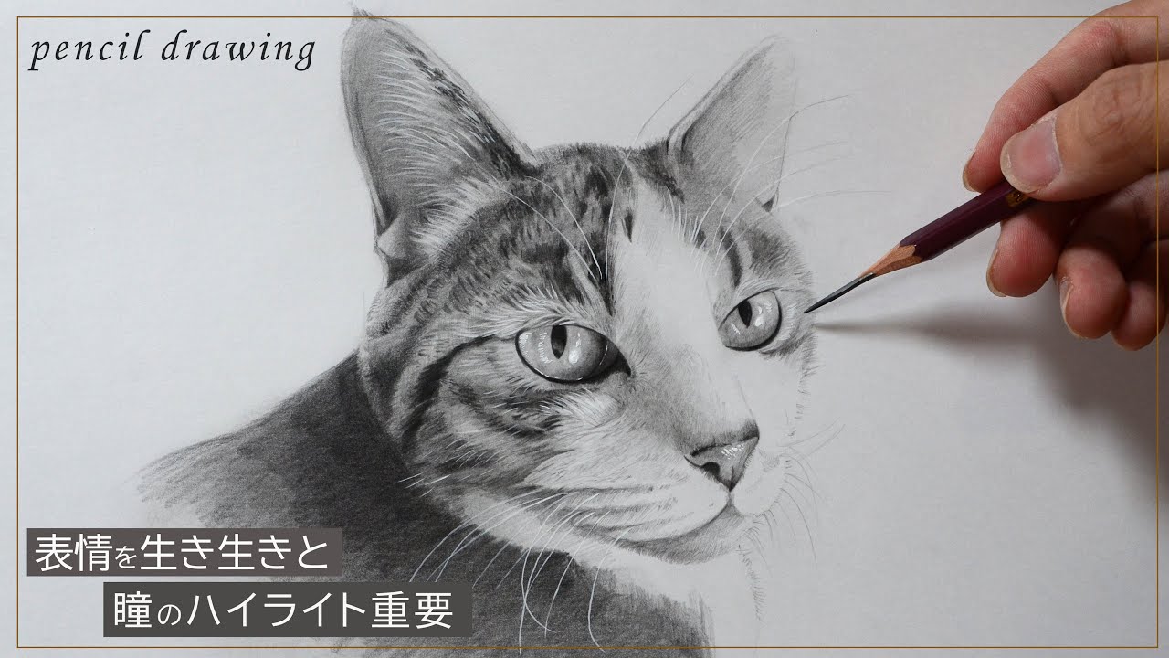 鉛筆画 リアルな猫を描いてみた 描き方 コツ 鉛筆デッサン スケッチ 写実絵画 ドローイング Pencil Drawing Youtube