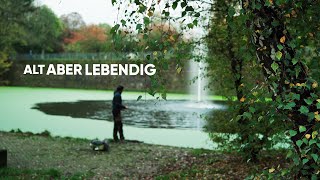 Hecht Und Wels Mitten In Der Stadt