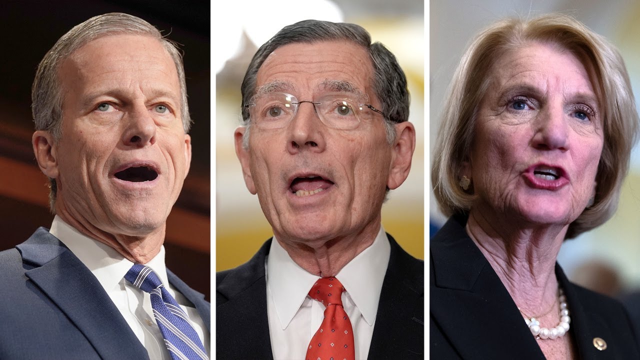 Senate GOP leadership calls for Mayorkas impeachment trial - YouTube