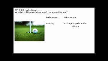 Performance and Learning
