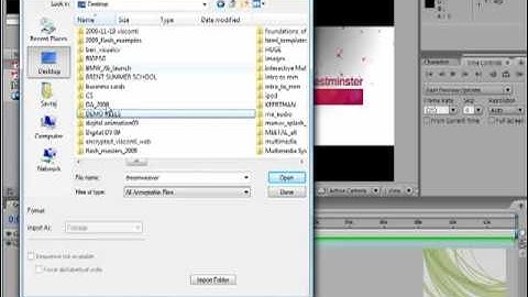05 Importing Files - Adobe After Effects CS3